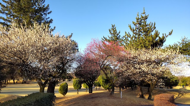 前橋ゴルフ場 - Photo 1