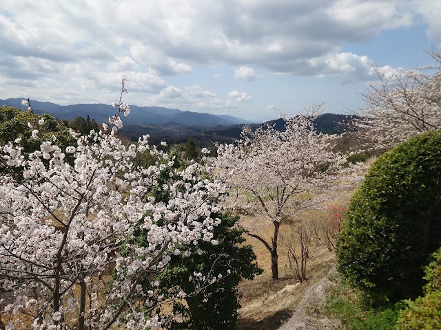 満濃ヒルズカントリークラブ - Photo 6