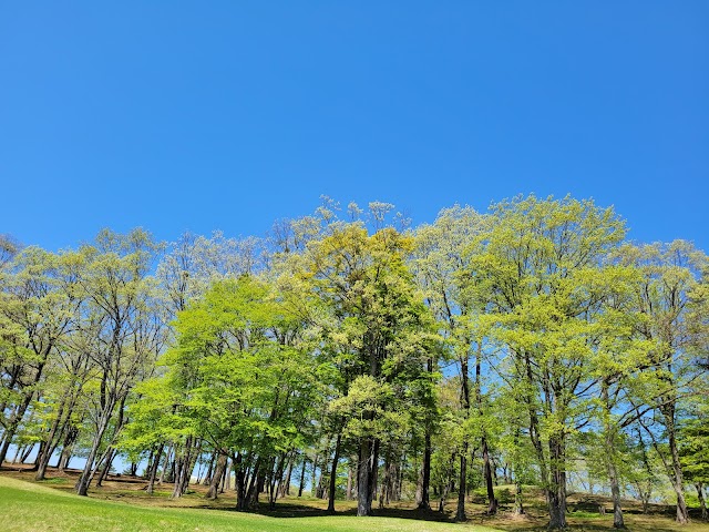 メイプルカントリークラブ - Photo 2