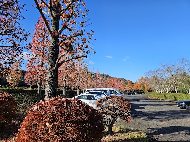 メイプルポイントゴルフクラブ - Photo 9