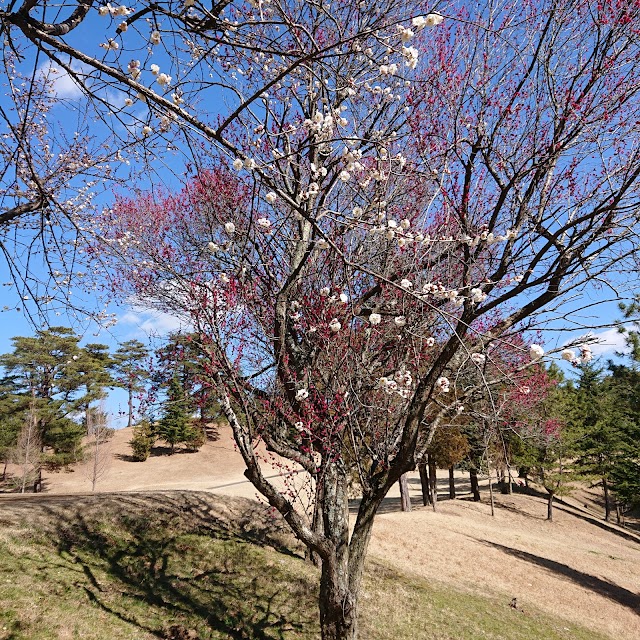 益子カントリー倶楽部 - Photo 5