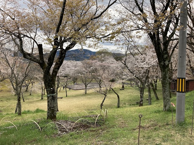 ましこゴルフ倶楽部 - Photo 8