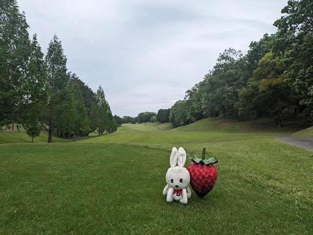益子ヒルズゴルフクラブ - Photo 7