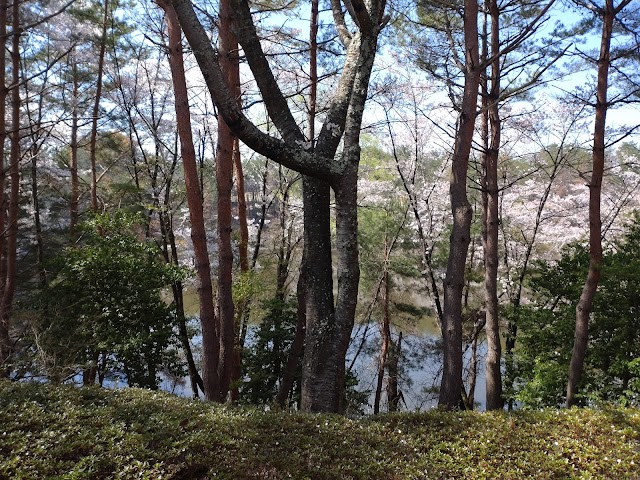 松本浅間カントリークラブ - Photo 2