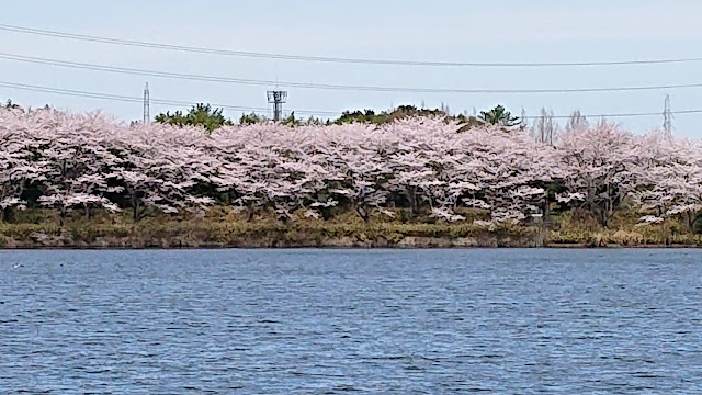 松阪カントリークラブ - Photo 6