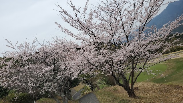 松山国際ゴルフ倶楽部 - Photo 6