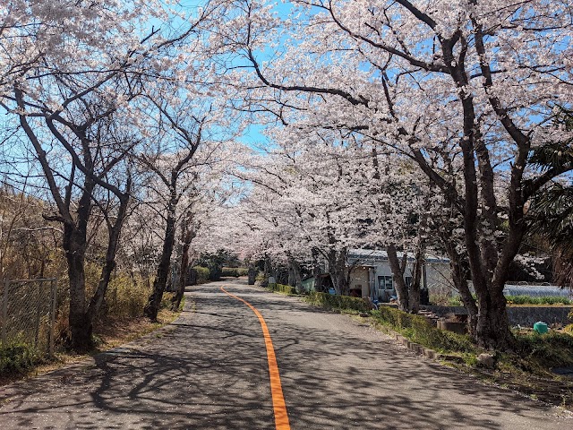 名四カントリークラブ - Photo 8
