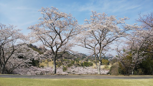 名松・ゴルフクラブ - Photo 2