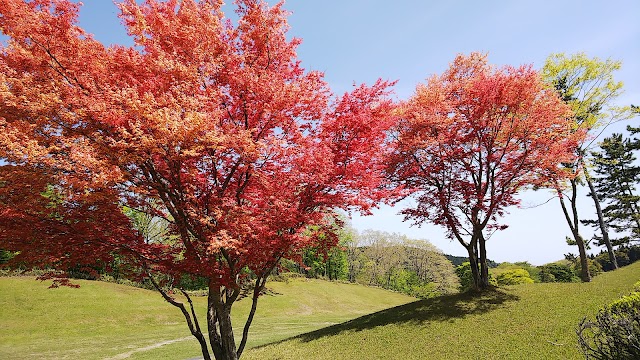 メナードカントリークラブ青山コース - Photo 2