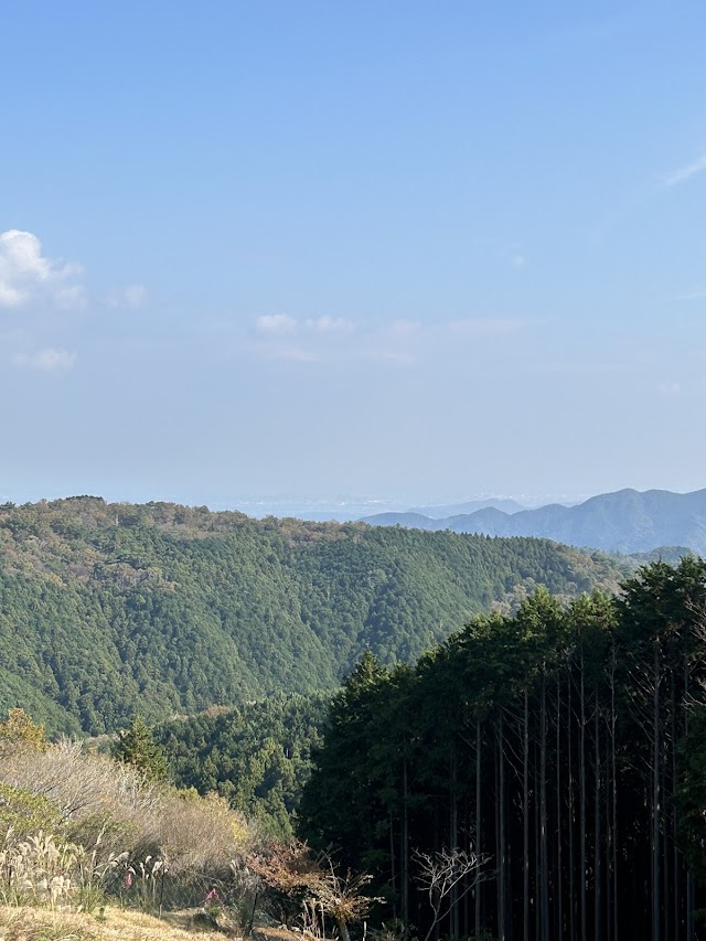 メナードカントリークラブ青山コース - Photo 5