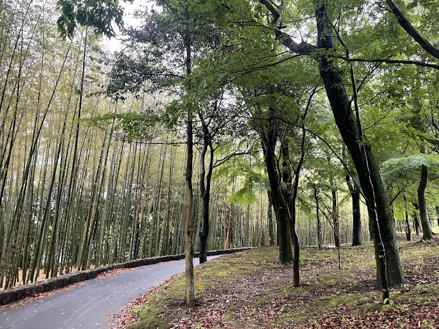 三河カントリークラブ - Photo 1