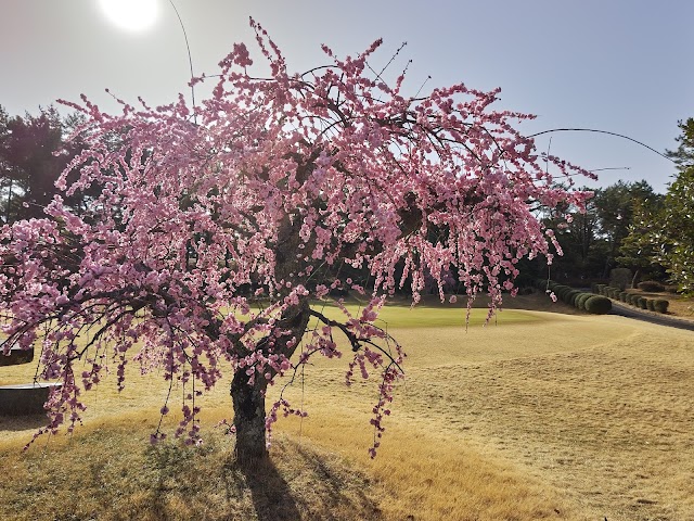 Miki Golf Club - Photo 5