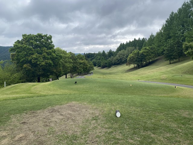 南栃木ゴルフ倶楽部 - Photo 7