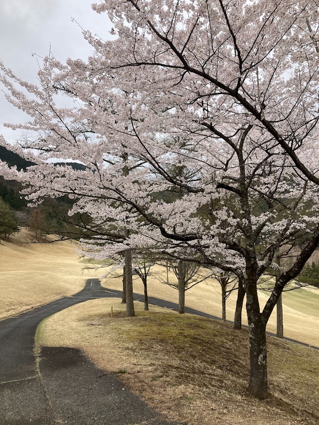 南栃木ゴルフ倶楽部 - Photo 4