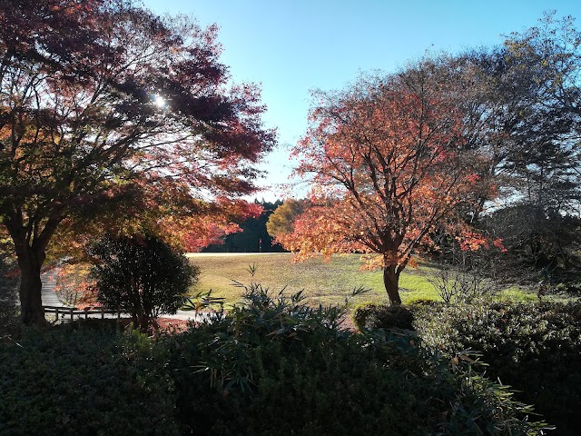 宮城カントリークラブ - Photo 5