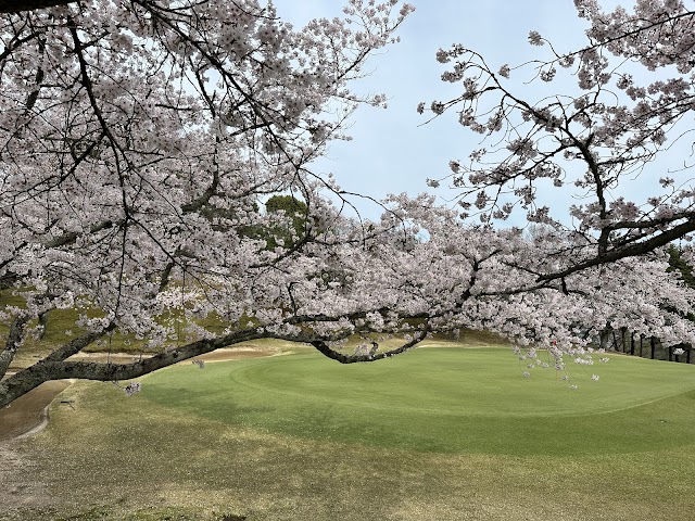宮島志和カンツリー倶楽部 - Photo 8