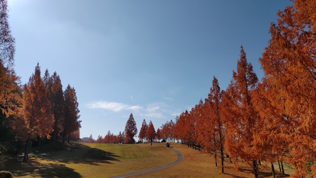 宮島志和カンツリー倶楽部 - Photo 4