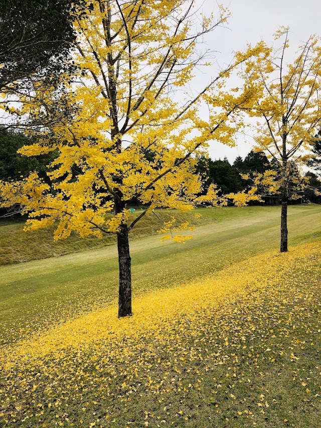 都城母智丘カントリークラブ - Photo 3