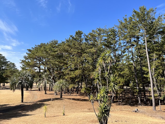 宮崎カントリークラブ - Photo 2