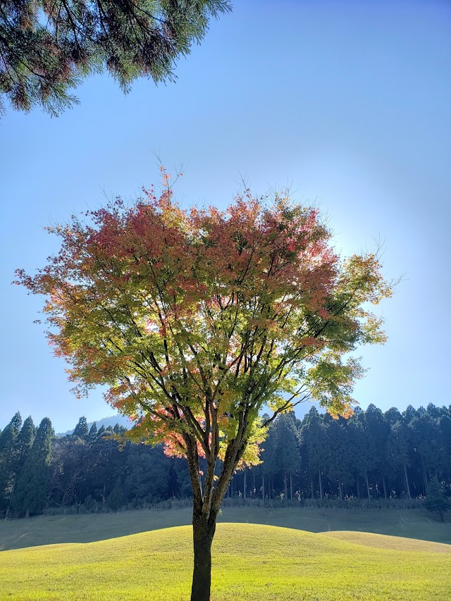 宮崎小林カントリークラブ - Photo 3