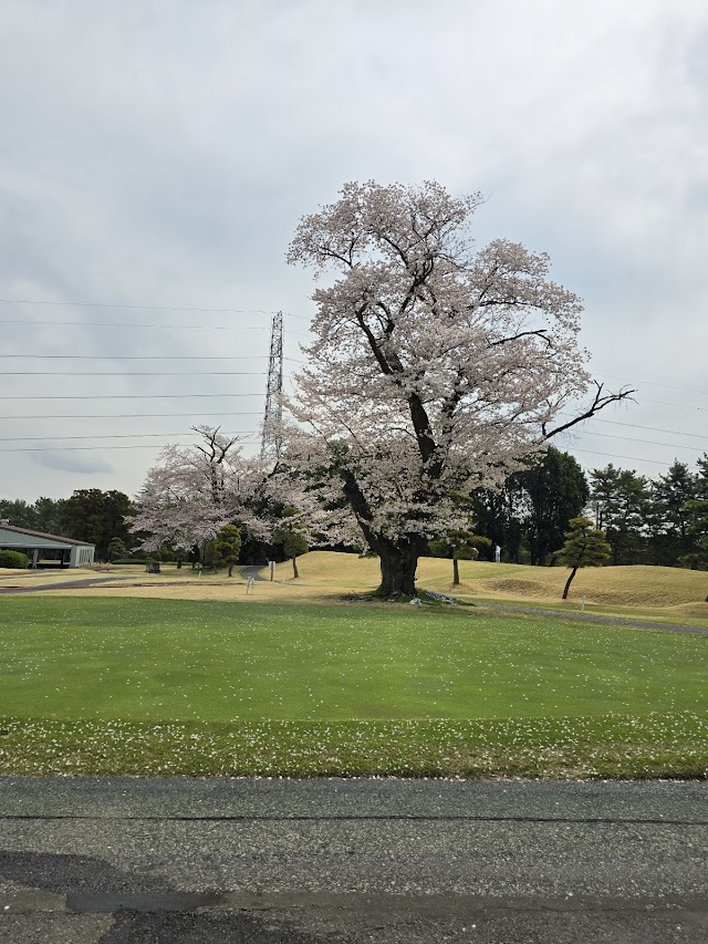 紫カントリークラブ　あやめコース - Photo 3