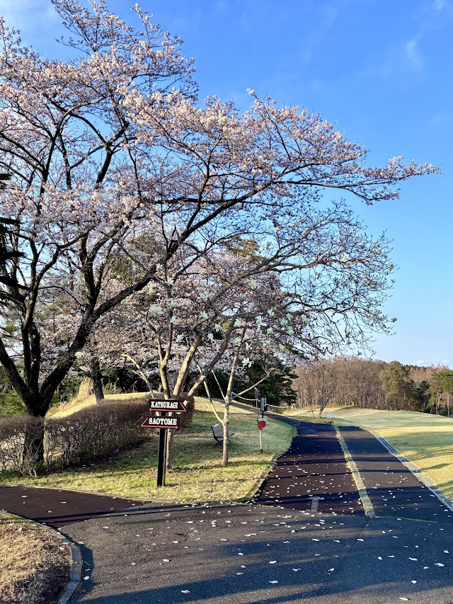 紫塚ゴルフ倶楽部 - Photo 4