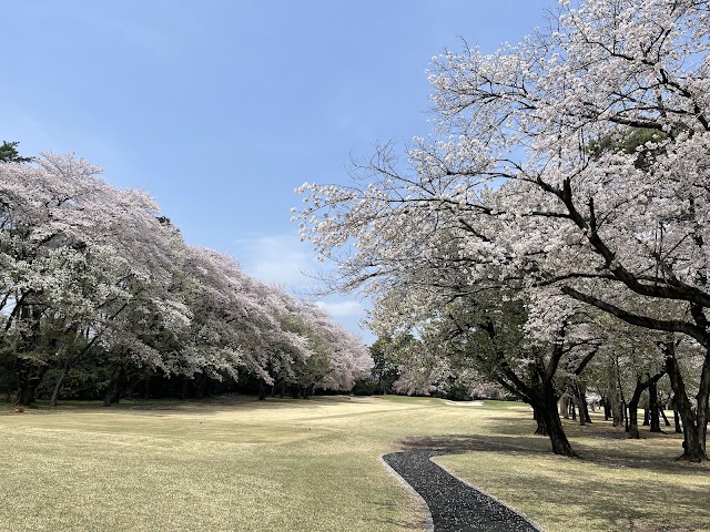 武蔵カントリークラブ　豊岡コース - Photo 4