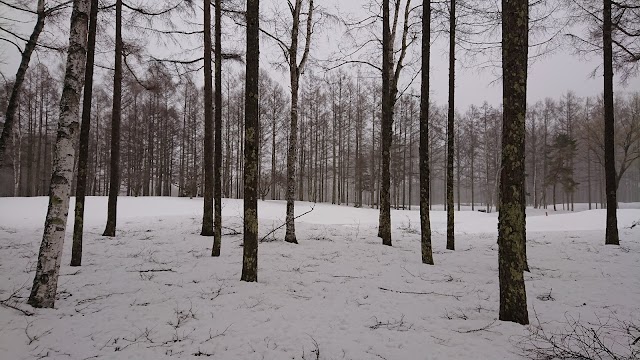長野カントリークラブ - Photo 8