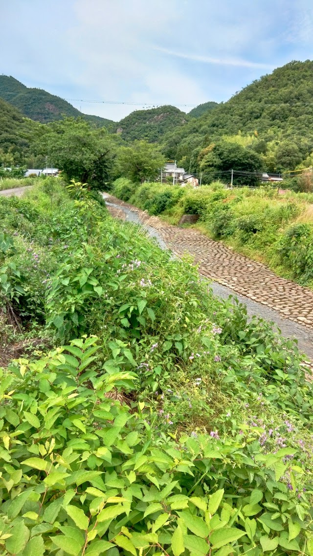 長良川カントリー倶楽部 - Photo 3