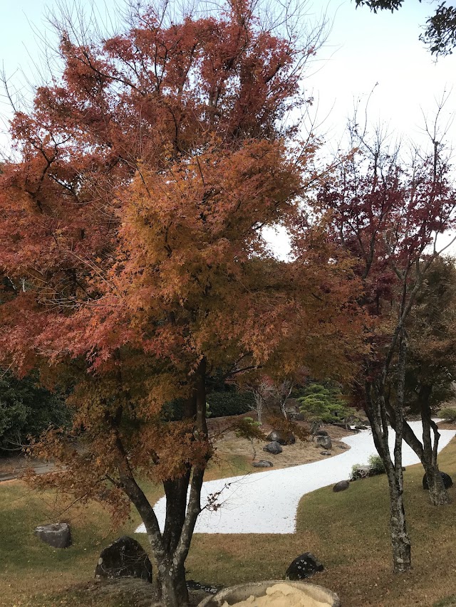 長崎国際ゴルフ倶楽部 - Photo 6