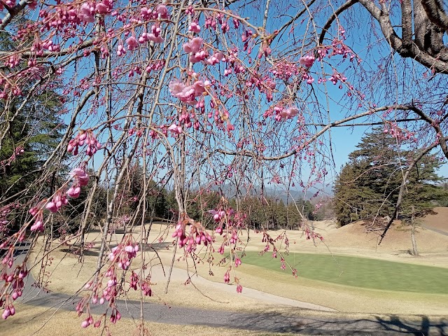 南摩城カントリークラブ - Photo 4