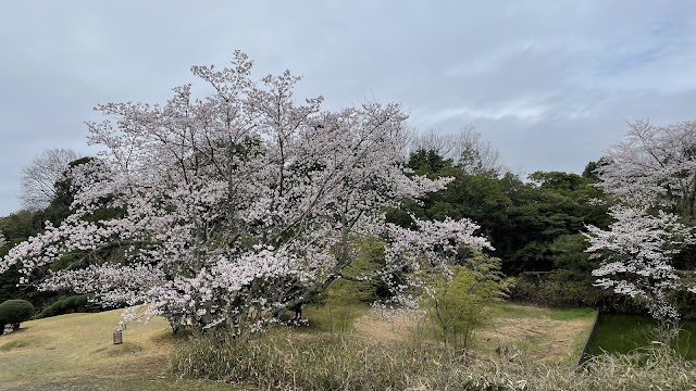 奈良カントリークラブ - Photo 9