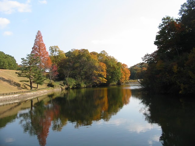奈良国際ゴルフ倶楽部 - Photo 5