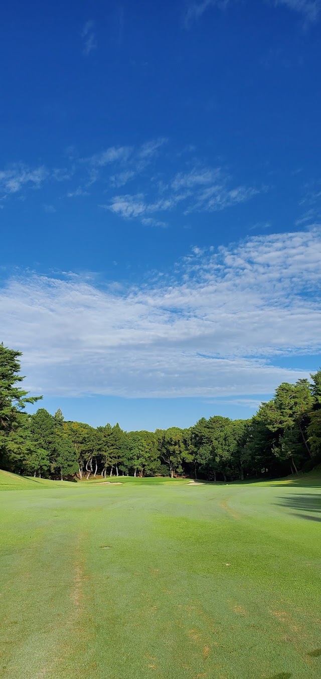 奈良国際ゴルフ倶楽部 - Photo 4