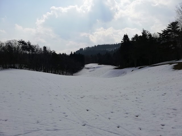 鳴子カントリークラブ - Photo 1