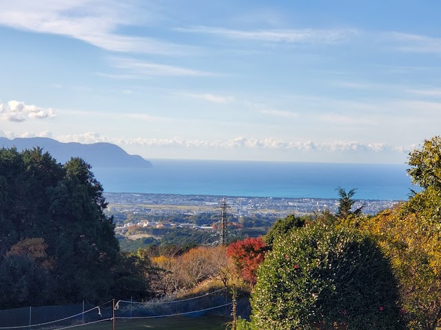 沼津ゴルフクラブ - Photo 3