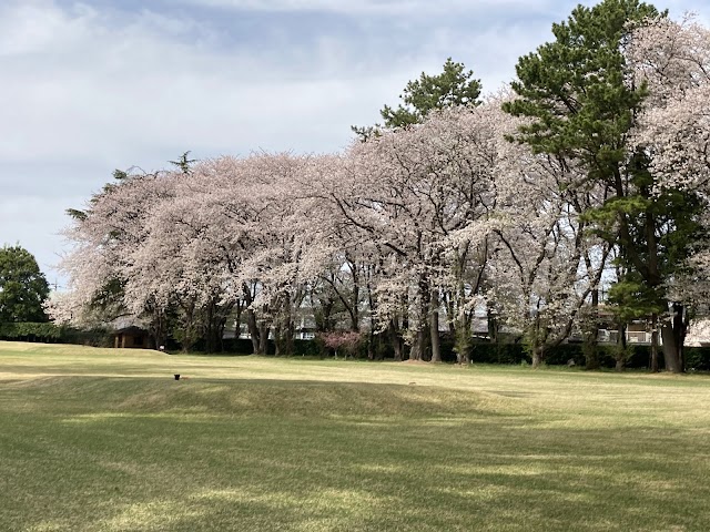 小田急藤沢ゴルフクラブ - Photo 3