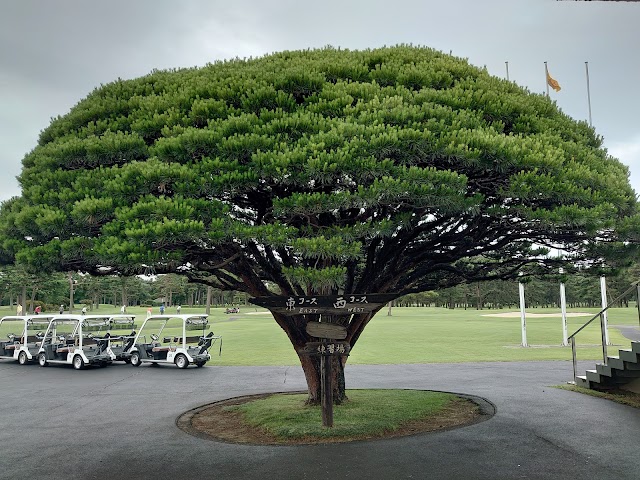 大利根カントリークラブ - Photo 1