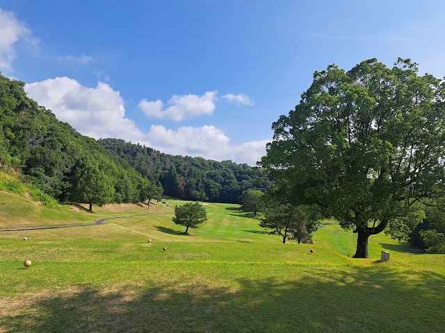 岡山国際ゴルフ倶楽部 - Photo 5