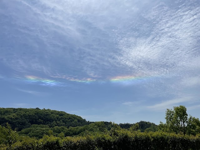 岡山金陵カントリークラブ - Photo 5