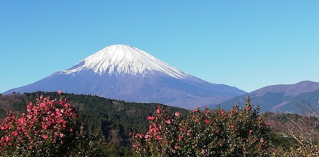 オリムピックナショナルゴルフクラブ　サカワコース - Photo 7