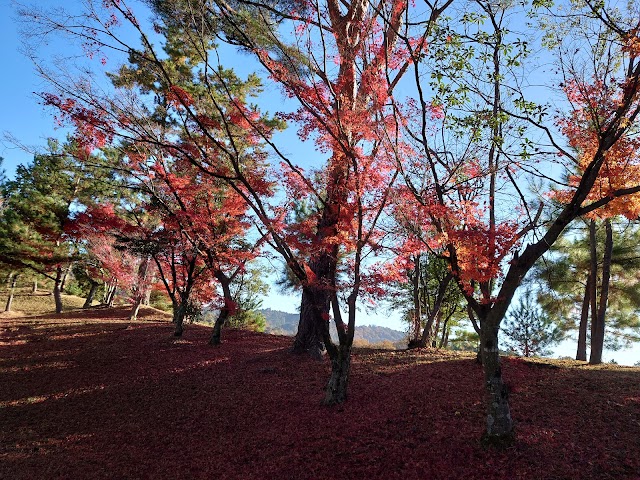 近江カントリー倶楽部 - Photo 4