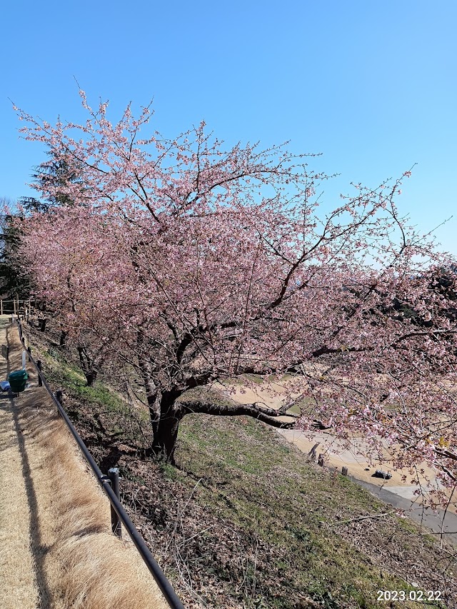 大相模カントリークラブ - Photo 2