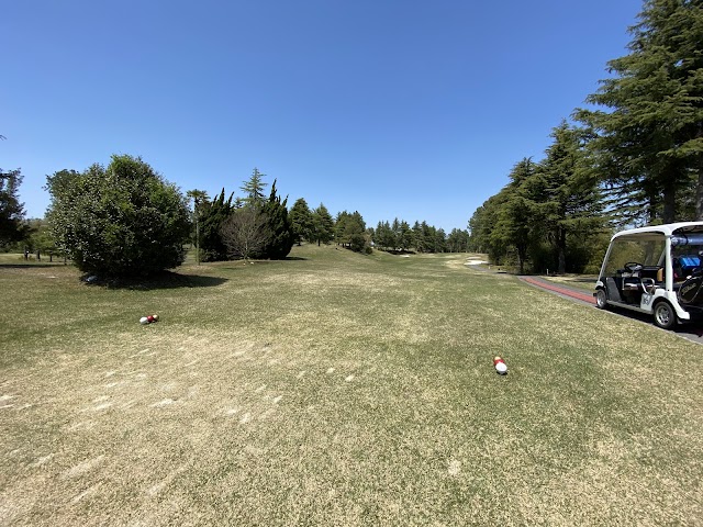 大阪パブリックゴルフ場 - Photo 8