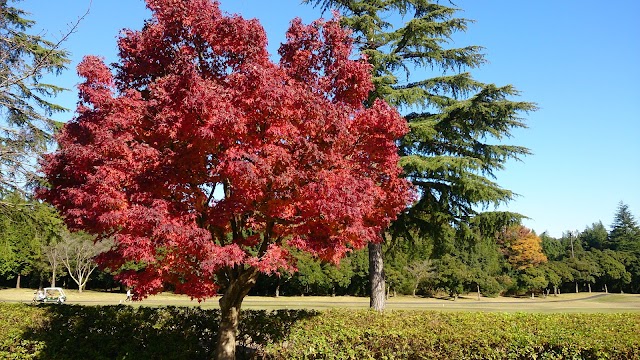 大厚木カントリークラブ桜コース - Photo 3