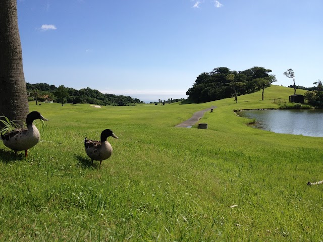 パシフィックブルーＣ．Ｃ． - Photo 6