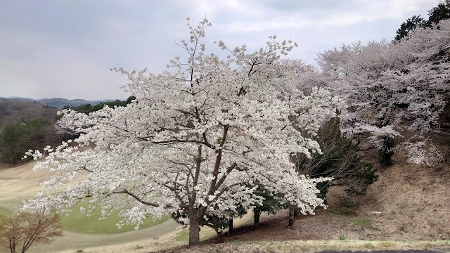 太平洋クラブ高崎コース - Photo 1
