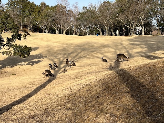 ＰＧＭ池田カントリークラブ - Photo 8