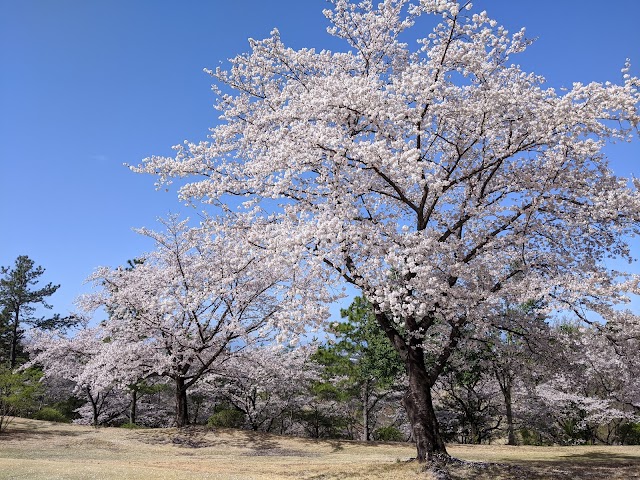 鳳凰ゴルフ倶楽部 - Photo 3