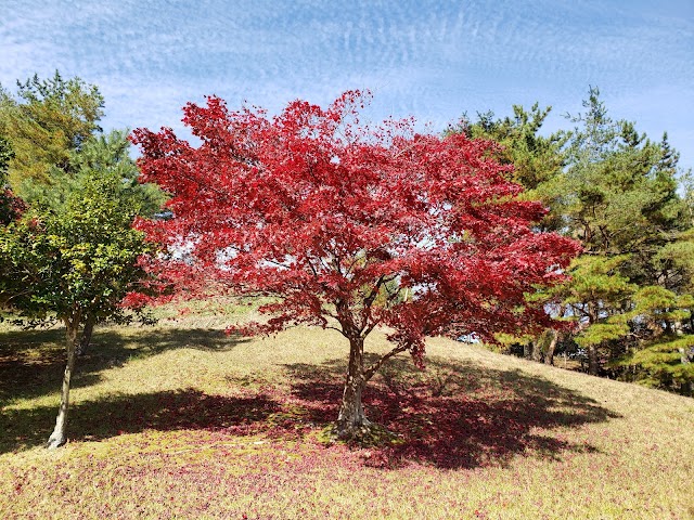 リオフジワラカントリークラブ - Photo 3